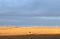 Farmland with a cow grazing on meadows and view of huge wind turbines windmill in background.