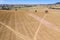 Farmland - Cowra NSW Australia