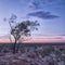 Farmland in drought at sunset