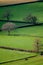 Farmland in East Devon