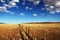 Farmland Fence (Namibia)