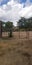 Farmland fences with white pillowy clouds for beauty