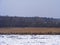 Farmland field in Belarus, winter image. Frosty forest. Fairytale forest trees landscape