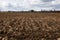 Farmland. Furrows on agricultural land