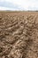 Farmland. Furrows on agricultural land