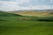 Farmland and grasses, with wind turbines in the Palouse region of Washington State, near Colfax, WA