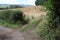 Farmland with harvested crops