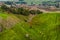 Farmland on hill slopes in Hawkes Bay, North Island, New Zealand