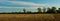 Farmland horizon