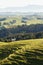 Farmland with horses in New Zealand