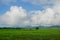 Farmland and hut of people.