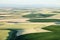 Farmland irrigated with center pivot sprinkler systems.