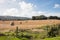 Farmland Isle of Man