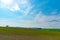 Farmland, Isolated Trees on hill with blue sky background in sunny day