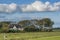 Farmland Landscape,Eiderstedt Peninsula,North frisia,Germany