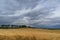 Farmland landscape of paddock, field with dry yellow grass and storm cloud above