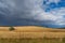 Farmland landscape of paddock, field with dry yellow grass and storm cloud above