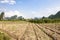 Farmland, Limestone Rocks in Yangshuo, China