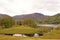 Farmland, in Little Langdale, in the Lake District, in August, 2020.