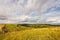 Farmland meadow pasture landscape