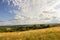 Farmland meadow pasture landscape