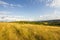 Farmland meadow pasture landscape