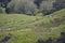 Farmland with mixture of pastures and native vegetation