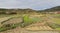 Farmland in the mountainous area