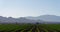 Farmland near Marana, Pima County, Arizona