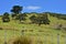 Farmland in New Zealand countryside