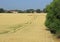 Farmland in North Kent