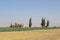 Farmland outside of Jericho, Palestine