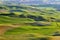 Farmland in Palouse Washington