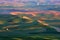 Farmland in Palouse Washington