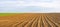 Farmland panorama - brown field
