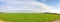 Farmland panorama - green wheat field