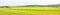 Farmland panorama - wheat field