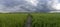 Farmland rice and sky