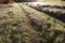 Farmland road through frosted grass in morning sunlight