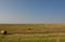 Farmland with Rolls of Baled Hay Across the Landscape