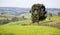 Farmland in rural Ethiopia