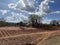 Farmland in Semi arid vegetation along Nairobi Mombasa highway Kenya, Africa