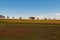 Farmland with sheep grazing over rural landscape. Drought in Australia