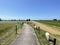 Farmland with sheeps around Oldehove