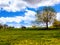 Farmland in Simsbury Connecticut