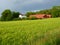 Farmland in Soft light.