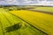 Farmland in the Swabian forest in Germany