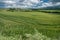 Farmland in Val d`Orcia Tuscany