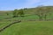 Farmland view, along the Trans Pennine Way, Dunford Bridge 2, Barnsley, South Yorkshire, England.