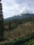 A farmland view and the mountain